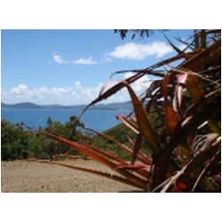 029_view_st_john .jpg